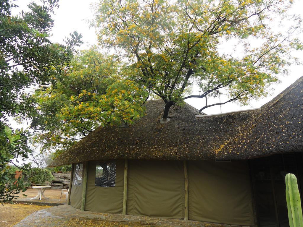 Airport Lodge Voigtland ภายนอก รูปภาพ